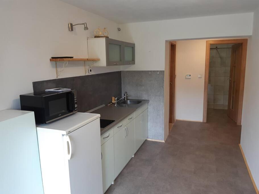Apartment Tour Bohemian Switzerland Horni Podluzi Esterno foto